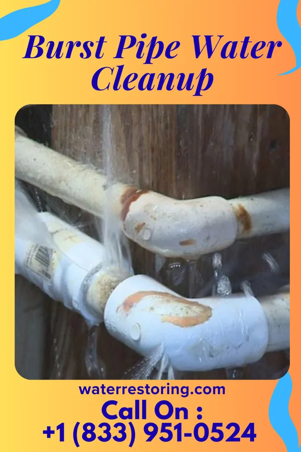 Burst Pipe Water Cleanup in Fruitville, FL