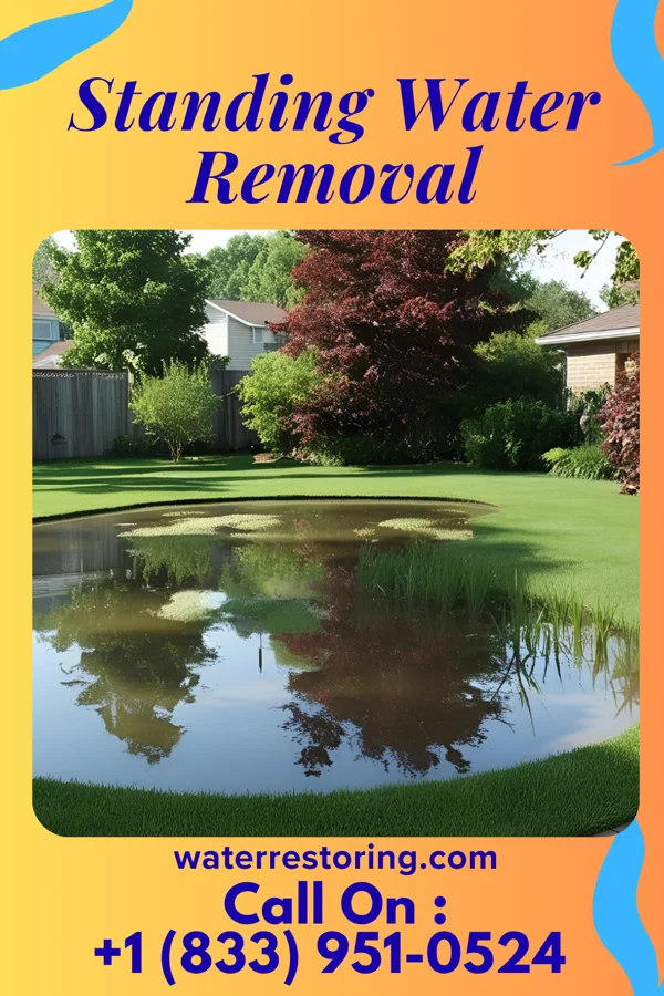 Standing Water Removal in Fruitville, FL